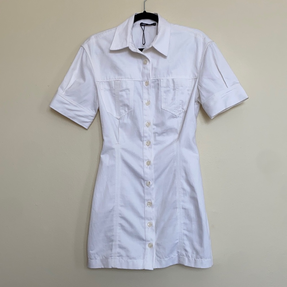 Cinched Waist Zara Dress